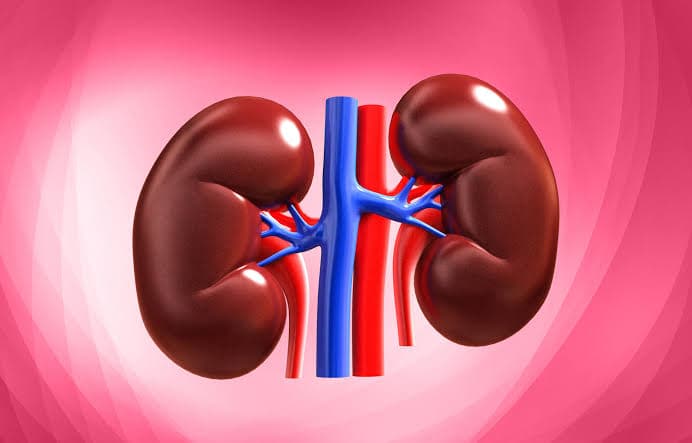 Kidney Profile